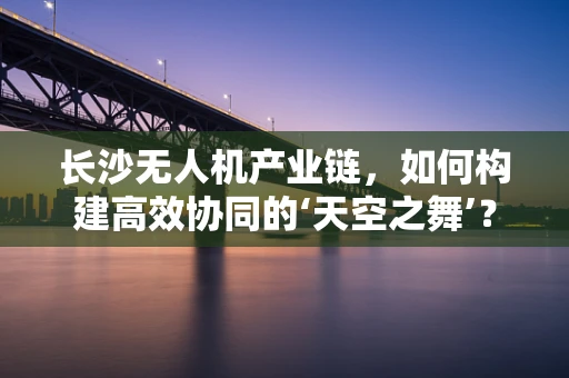 长沙无人机产业链，如何构建高效协同的‘天空之舞’？