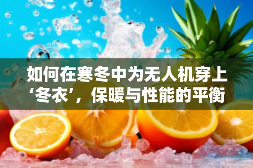 如何在寒冬中为无人机穿上‘冬衣’，保暖与性能的平衡挑战