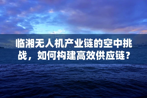 临湘无人机产业链的空中挑战，如何构建高效供应链？
