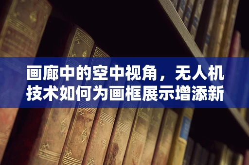 画廊中的空中视角，无人机技术如何为画框展示增添新维度？
