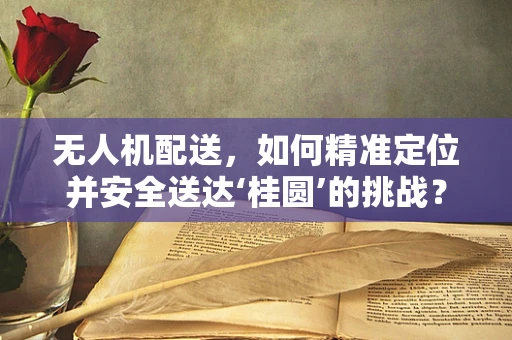 无人机配送，如何精准定位并安全送达‘桂圆’的挑战？