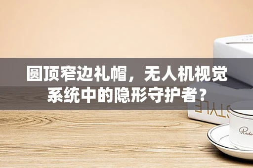 圆顶窄边礼帽，无人机视觉系统中的隐形守护者？