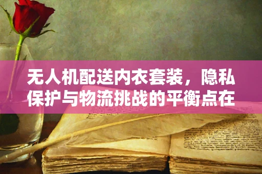 无人机配送内衣套装，隐私保护与物流挑战的平衡点在哪里？