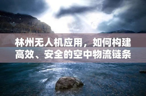 林州无人机应用，如何构建高效、安全的空中物流链条？