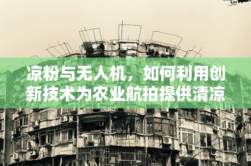 凉粉与无人机，如何利用创新技术为农业航拍提供清凉解决方案？
