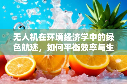 无人机在环境经济学中的绿色航迹，如何平衡效率与生态保护？