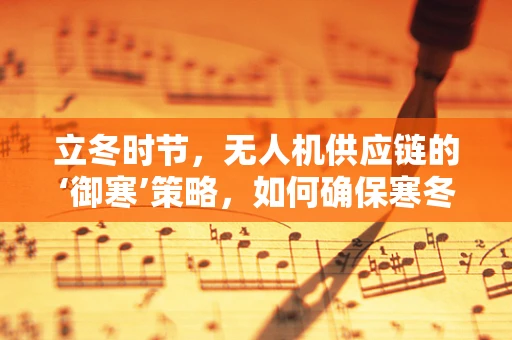 立冬时节，无人机供应链的‘御寒’策略，如何确保寒冬中的飞行安全？