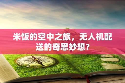 米饭的空中之旅，无人机配送的奇思妙想？