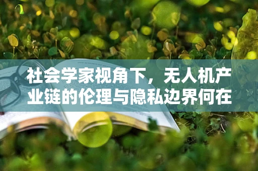 社会学家视角下，无人机产业链的伦理与隐私边界何在？