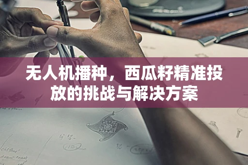 无人机播种，西瓜籽精准投放的挑战与解决方案