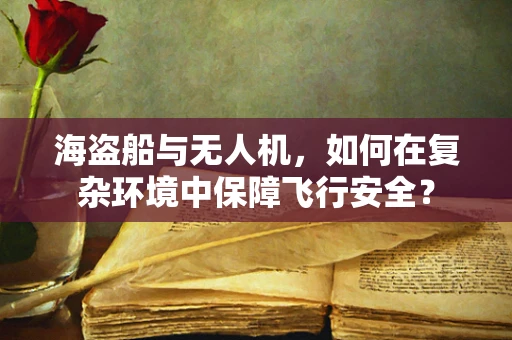 海盗船与无人机，如何在复杂环境中保障飞行安全？