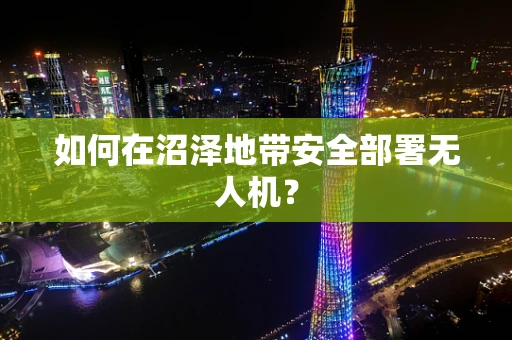 如何在沼泽地带安全部署无人机？