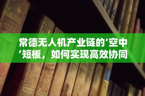 常德无人机产业链的‘空中’短板，如何实现高效协同与技术创新？