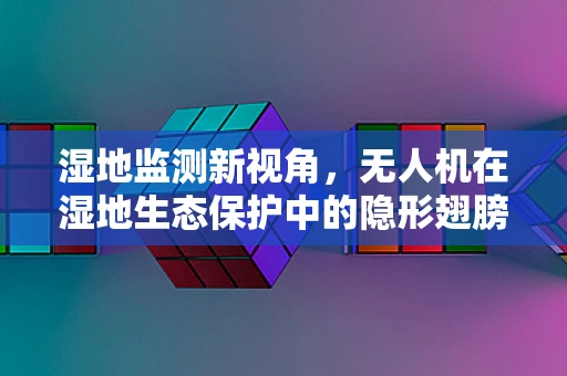 湿地监测新视角，无人机在湿地生态保护中的隐形翅膀