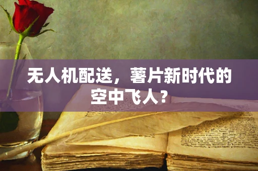 无人机配送，薯片新时代的空中飞人？
