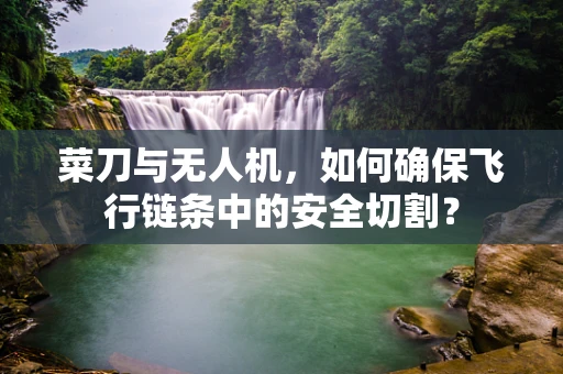 菜刀与无人机，如何确保飞行链条中的安全切割？