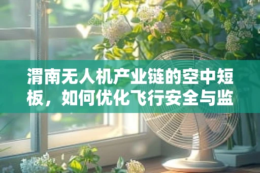 渭南无人机产业链的空中短板，如何优化飞行安全与监管？