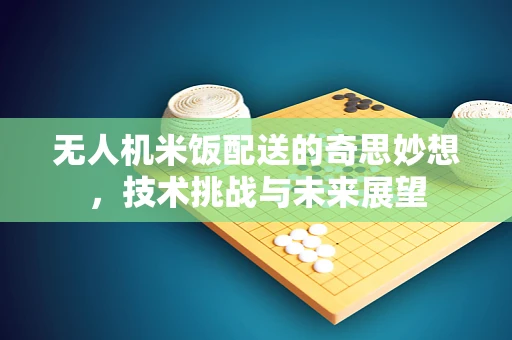 无人机米饭配送的奇思妙想，技术挑战与未来展望