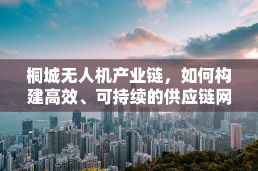 桐城无人机产业链，如何构建高效、可持续的供应链网络？