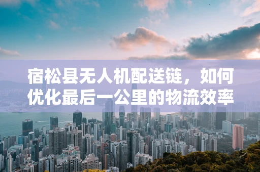 宿松县无人机配送链，如何优化最后一公里的物流效率？