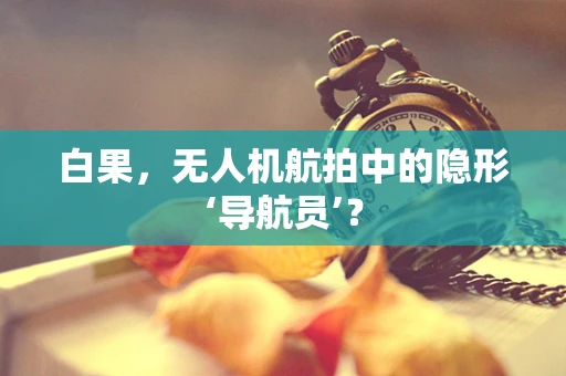 白果，无人机航拍中的隐形‘导航员’？