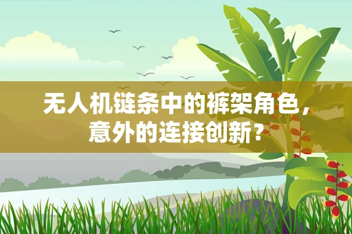 无人机链条中的裤架角色，意外的连接创新？