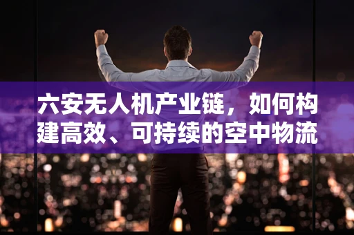 六安无人机产业链，如何构建高效、可持续的空中物流网络？
