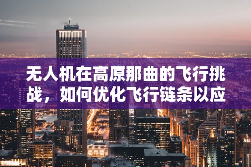 无人机在高原那曲的飞行挑战，如何优化飞行链条以应对低氧环境？