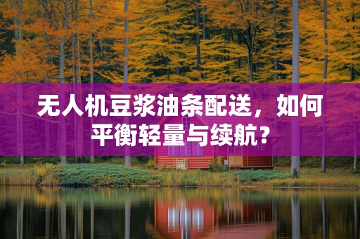 无人机豆浆油条配送，如何平衡轻量与续航？