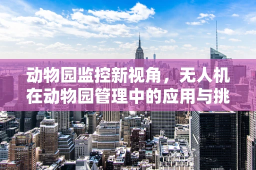 动物园监控新视角，无人机在动物园管理中的应用与挑战