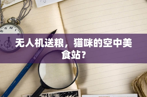 无人机送粮，猫咪的空中美食站？