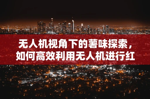 无人机视角下的薯味探索，如何高效利用无人机进行红薯田的精准种植监测？