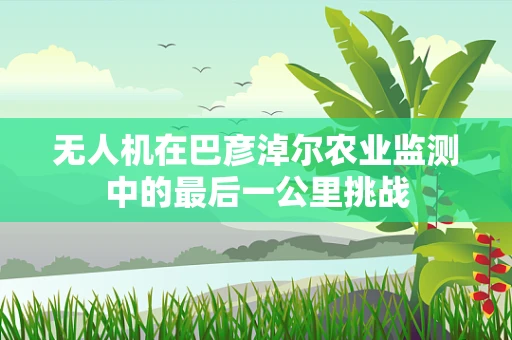 无人机在巴彦淖尔农业监测中的最后一公里挑战