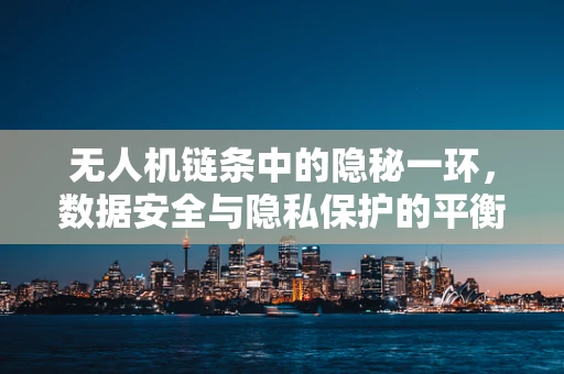 无人机链条中的隐秘一环，数据安全与隐私保护的平衡