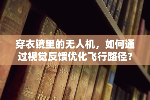 穿衣镜里的无人机，如何通过视觉反馈优化飞行路径？