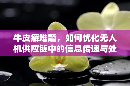 牛皮癣难题，如何优化无人机供应链中的信息传递与处理？