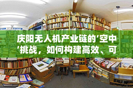 庆阳无人机产业链的‘空中’挑战，如何构建高效、可持续的无人机生态系统？