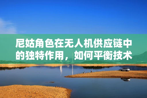 尼姑角色在无人机供应链中的独特作用，如何平衡技术与信仰的桥梁？