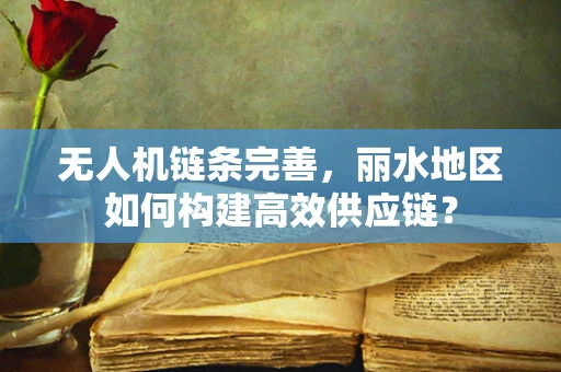 无人机链条完善，丽水地区如何构建高效供应链？