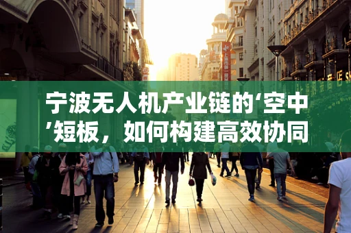 宁波无人机产业链的‘空中’短板，如何构建高效协同的供应链体系？
