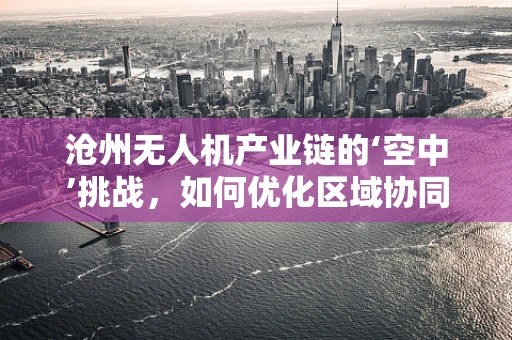 沧州无人机产业链的‘空中’挑战，如何优化区域协同与技术创新？
