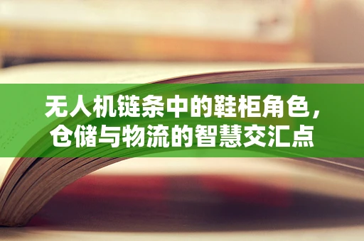 无人机链条中的鞋柜角色，仓储与物流的智慧交汇点