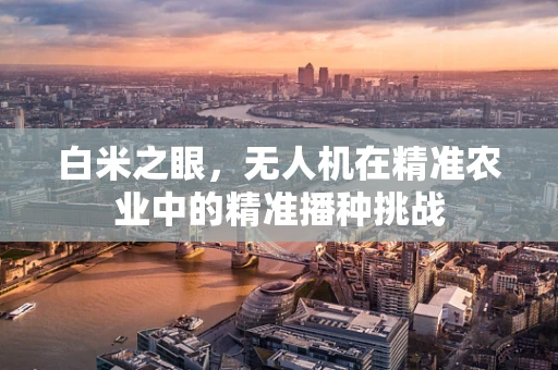 白米之眼，无人机在精准农业中的精准播种挑战