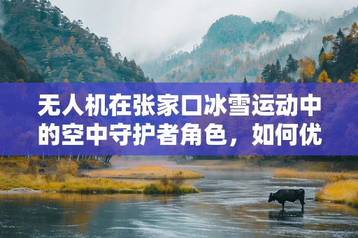 无人机在张家口冰雪运动中的空中守护者角色，如何优化其应急响应链条？