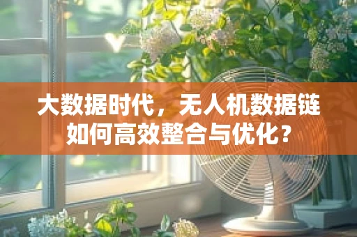 大数据时代，无人机数据链如何高效整合与优化？