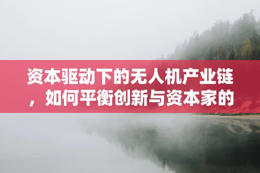 资本驱动下的无人机产业链，如何平衡创新与资本家的逐利本性？