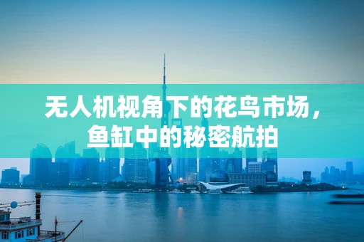 无人机视角下的花鸟市场，鱼缸中的秘密航拍