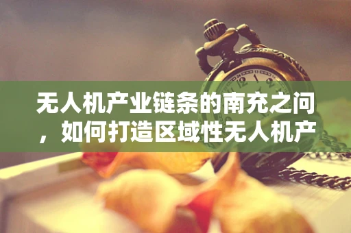 无人机产业链条的南充之问，如何打造区域性无人机产业集群？