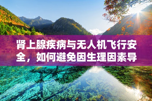 肾上腺疾病与无人机飞行安全，如何避免因生理因素导致的飞行事故？