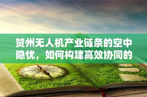 贺州无人机产业链条的空中隐忧，如何构建高效协同的供应链？